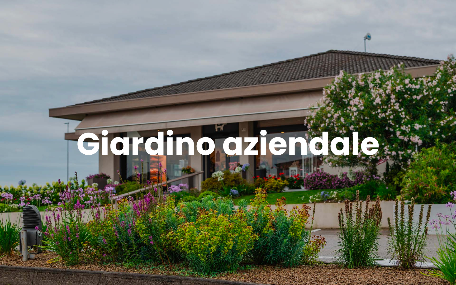 https://arfierogiardini.it/wp-content/uploads/2025/09/Giardino-aziendale.jpg