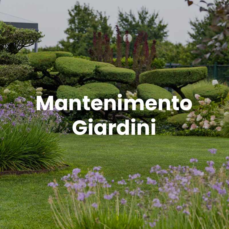 https://arfierogiardini.it/wp-content/uploads/2025/09/Mantenimento-giardini-giardinaggio-1.jpg